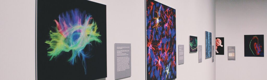 华泰昕微粒产品