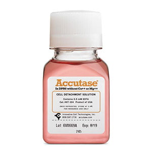 at-104-accutase Innovative Cell Technology ICT代理